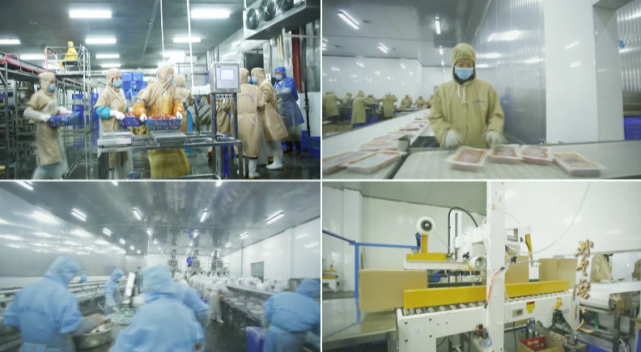 BBIN·宝盈集团(中国)有限公司官网